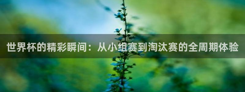 西超杯直播:世界杯的精彩瞬间:从小组赛到淘汰赛的全周期体验