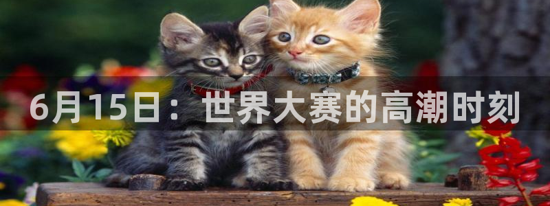 2026足球世界杯赛程时间表:6月15日:世界大赛的高潮时刻