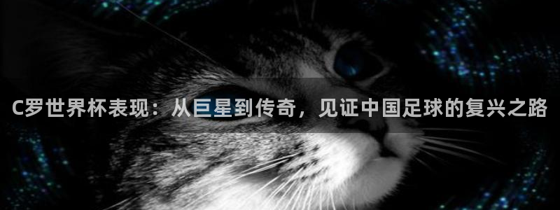 欧洲世界杯预选赛赛程:C罗世界杯表现:从巨星到传奇,见证中国足球的复兴之路