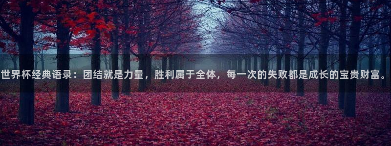 2026世界杯直播:世界杯经典语录:团结就是力量,胜利属于全体,每一次的失败都是成长的宝贵财富。