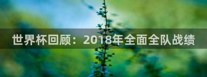 英格兰联赛杯直播:世界杯回顾:2018年全面全队战绩
