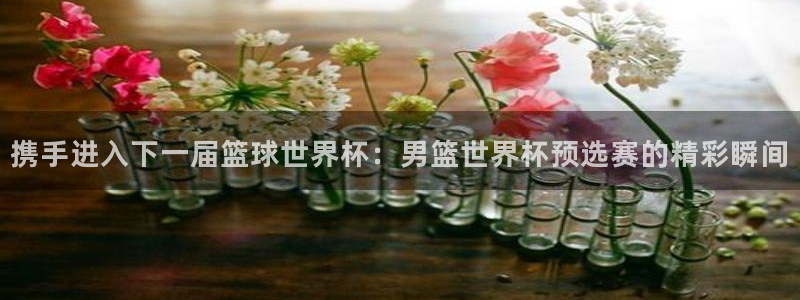 2026世预赛赛程表:携手进入下一届篮球世界杯:男篮世界杯预选赛的精彩瞬间