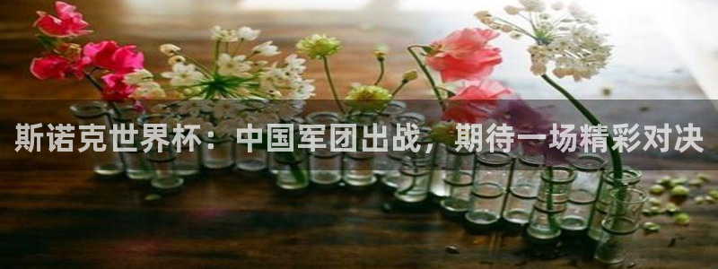 世界杯足球直播:斯诺克世界杯:中国军团出战,期待一场精彩对决
